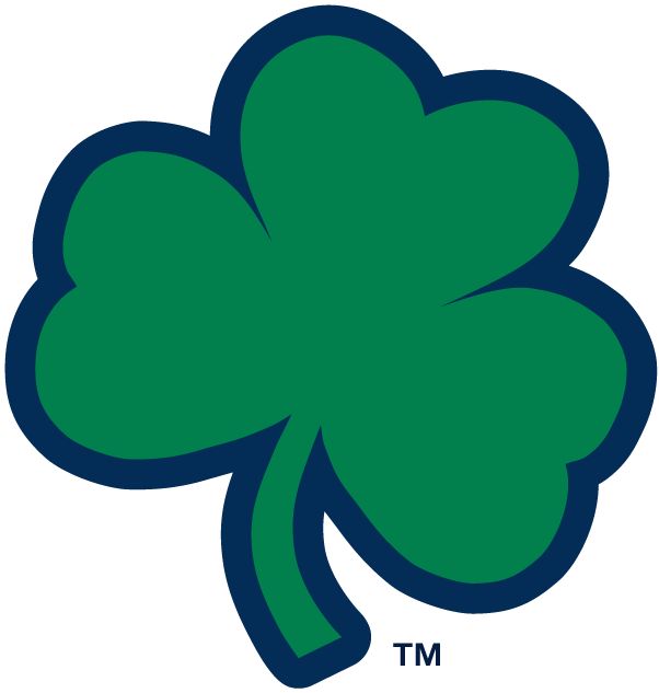Notre Dame Fighting Irish 1994-Pres Alternate Logo t shirts iron on transfers v6